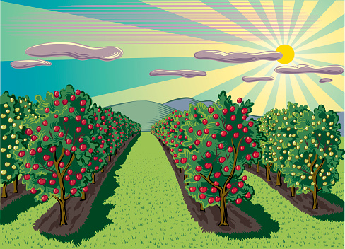apple20orchard20clipart2032