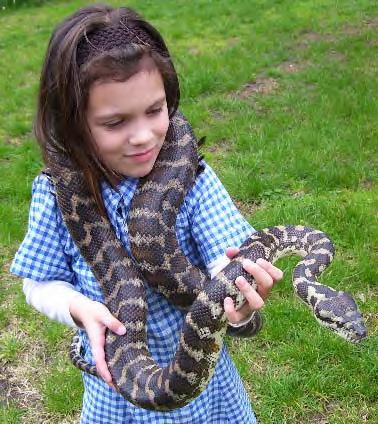 child-and-snake1